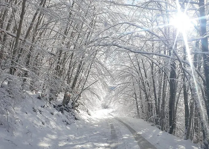 Izletiste Pocivala *